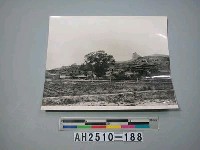 藏品(大同雲崗石窟)的圖片